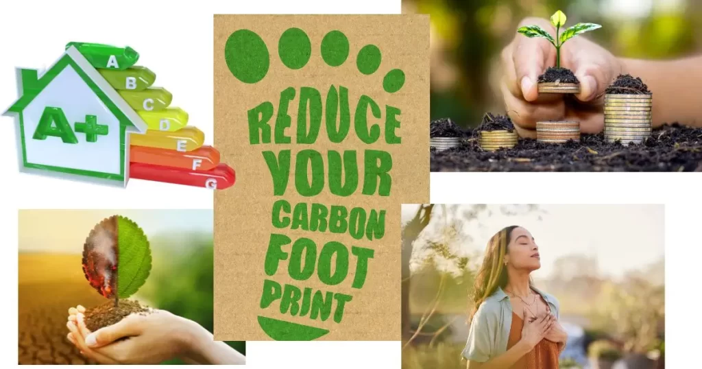 Why is Sustainability Important- 5 key reasons