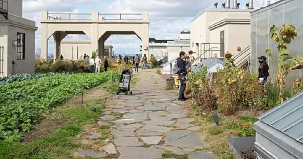 New York: Feeding the Green City Sustainably