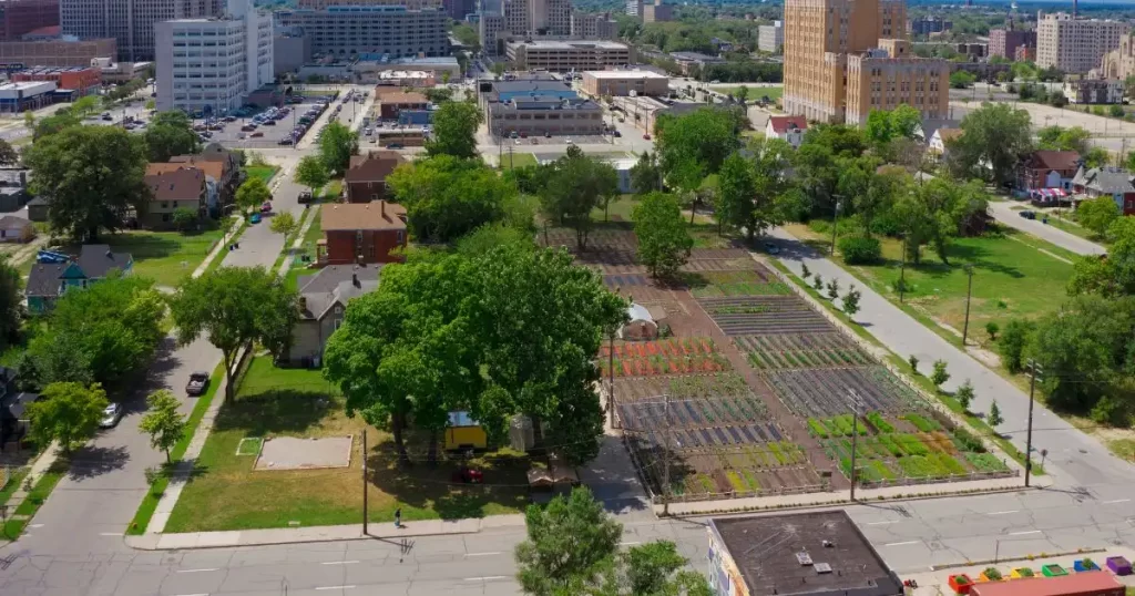 Detroit :Feeding the Green City Sustainably